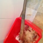 i283726789470931590._szw565h2600_