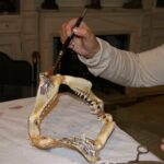 i283726789476419441._szw565h2600_