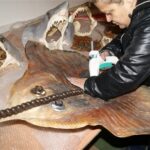 i283726789476419475._szw565h2600_