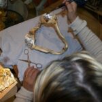 i283726789476419514._szw565h2600_