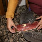 i283726789478511034._szw565h2600_