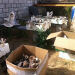 i283726789478511092._szw565h2600_