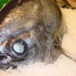 i283726789478557717._szw565h2600_