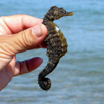 i283726789478557746._szw565h2600_