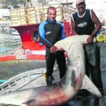 i283726789478557772._szw565h2600_