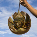 i283726789478557825._szw565h2600_