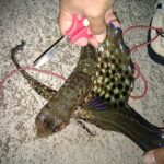 i283726789478557869._szw565h2600_