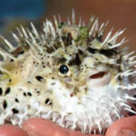 i283726789478557883._szw565h2600_